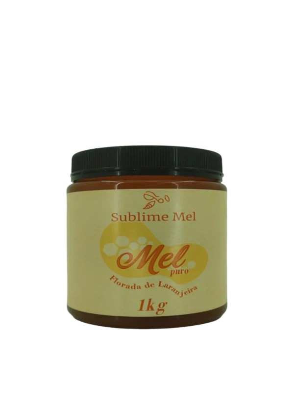 Mel Florada Laranjeira 1000 g
