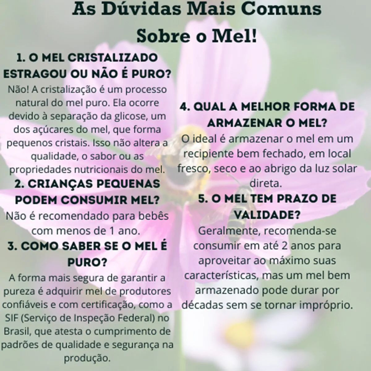 Mel Natural de Flores de Cipó Uva 500G - Sublime Mel® - Imagem 5