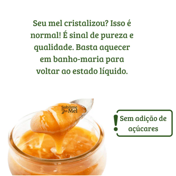 Mel de Flores Silvestres 300g | Natural, Versátil e Puro – Sublime Mel® - Imagem 6